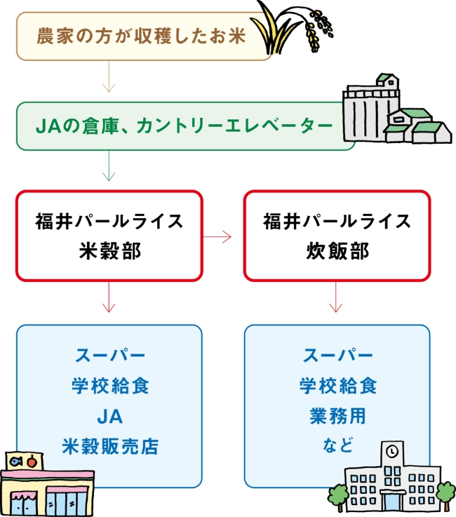 福井パールライスの安全・安心なお米とごはんがお店にならぶまで